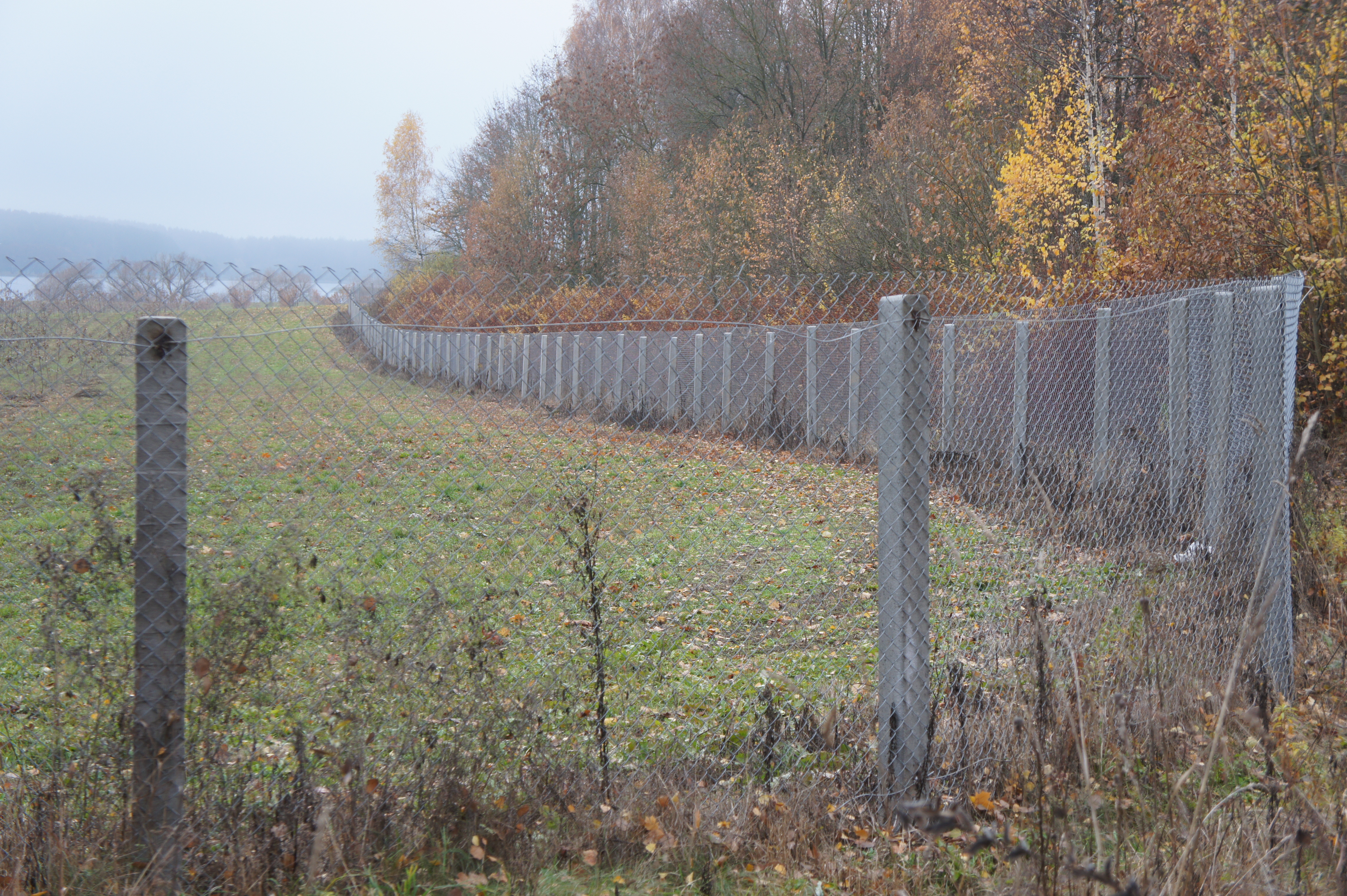 Сетка рабица выстотой 1,8 м